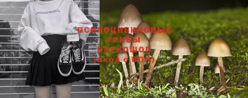 Псилоцибиновые грибы Magic Shrooms  Чаплыгин 